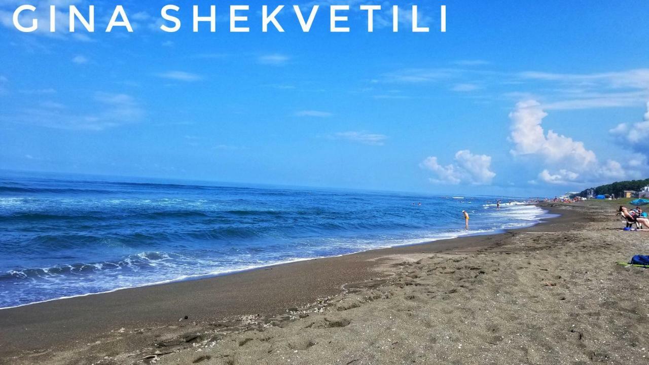 Gina Shekvetili Ξενοδοχείο Εξωτερικό φωτογραφία